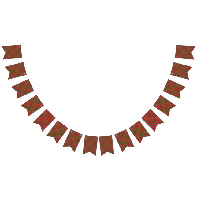 Scottish Clan MacAlister Tartan Bunting (All)