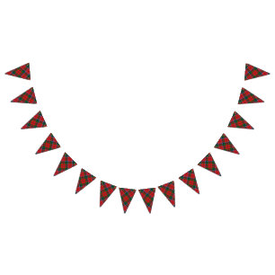 Scottish Clan MacNaughton MacNachtan Tartan Bunting