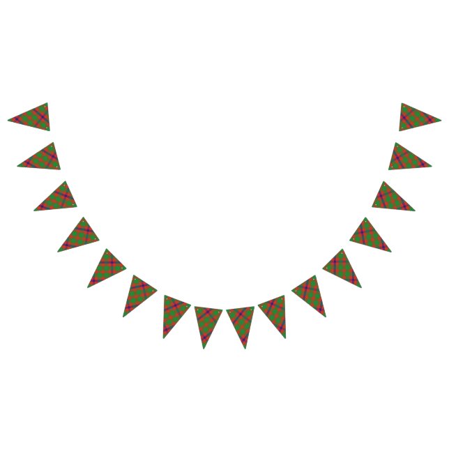 Scottish Clan Skene Tartan Bunting (All)