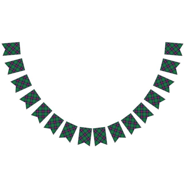 Scottish Clan Young Tartan Bunting (All)