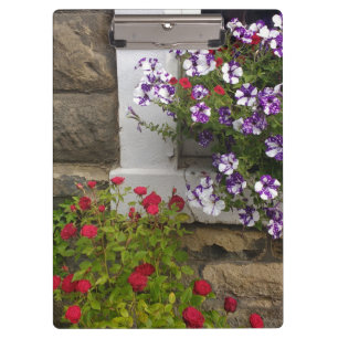 Scottish cottage window with petunias and roses clipboard