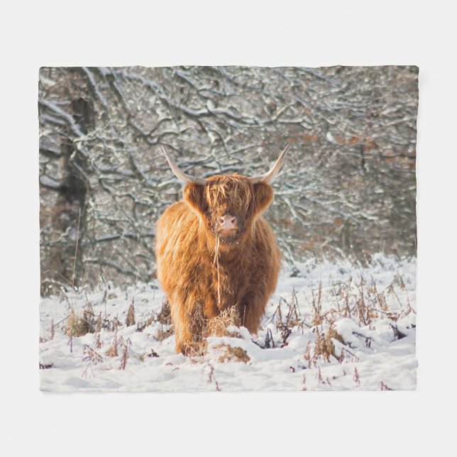 Scottish cow blanket (Front (Horizontal))