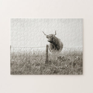 Scottish cow photograph jigsaw puzzle