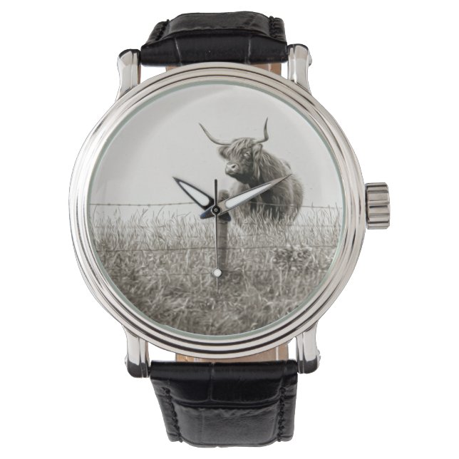 Scottish cow photograph  watch (Front)