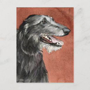 Scottish Deerhound Dog Art Postcard