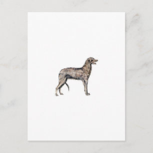 Scottish Deerhound Postcard