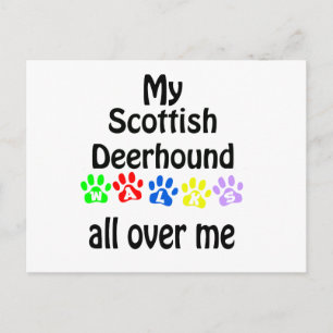 Scottish Deerhound Walks Design Postcard