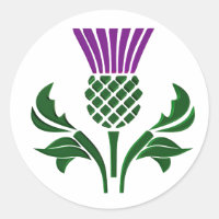 Scottish emblem thistle