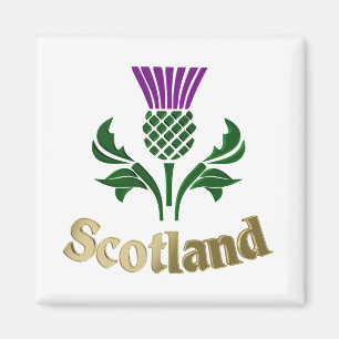 Scottish emblem thistle magnet