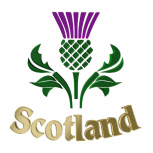 Scottish emblem thistle standing photo sculpture
