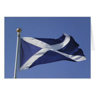 Scottish Flag