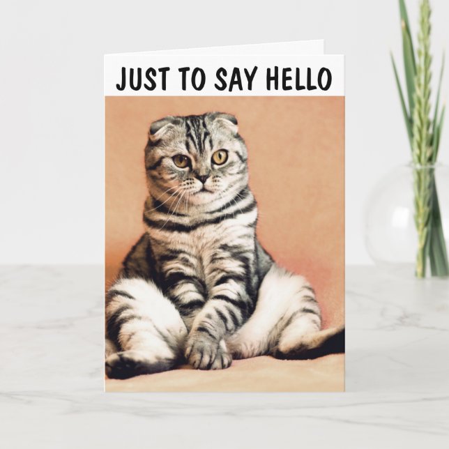 SCOTTISH FOLD CAT GREETING CARD TO SAY HELLO (Front)