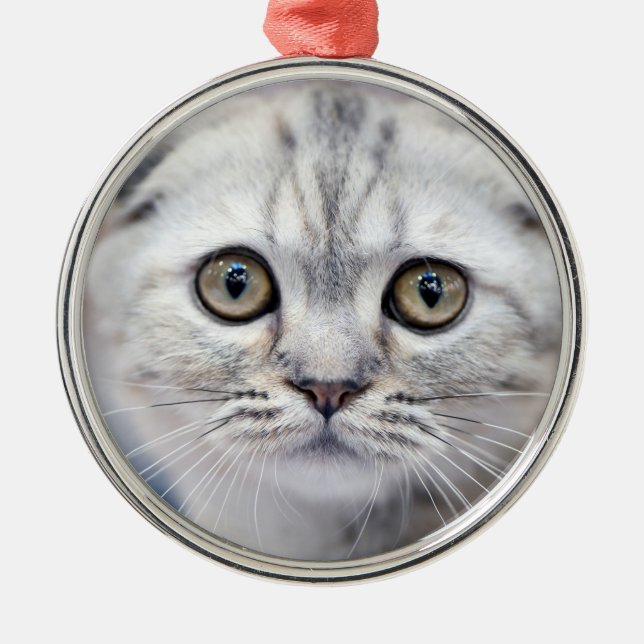 Scottish Fold Cat Metal Tree Decoration (Front)