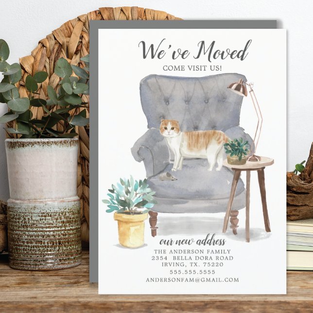 Scottish Fold Cat Moving Announcement (Creator Uploaded)