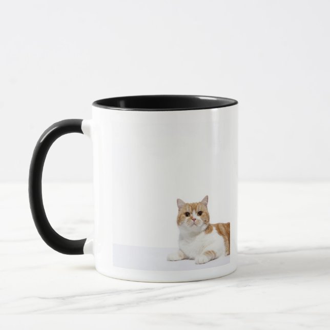 Scottish Fold Cat Mug (Left)