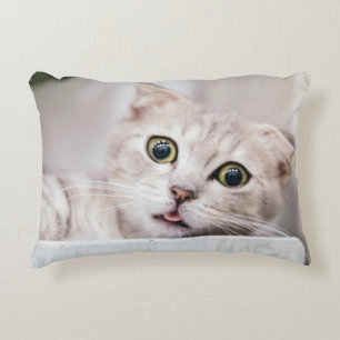 Scottish Fold Decorative Cushion