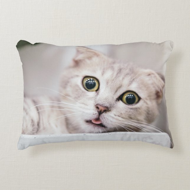 Scottish Fold Decorative Cushion (Front)
