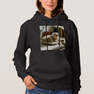 scottish fold hoodie cute cat hoodie cosy cat hood