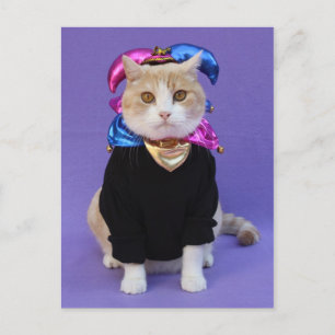 Scottish Fold Jester Postcard