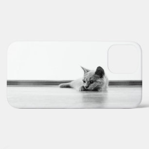Scottish Fold Kitten Cat Super Cute iPhone 12 Case