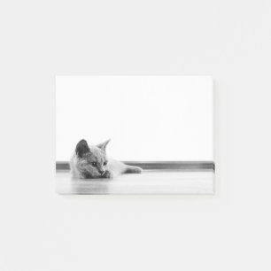 Scottish Fold Kitten Cat Super Cute Post-it Notes
