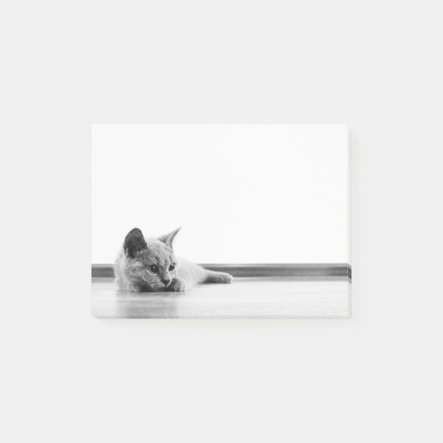 Scottish Fold Kitten Cat Super Cute Post-it Notes (Front)