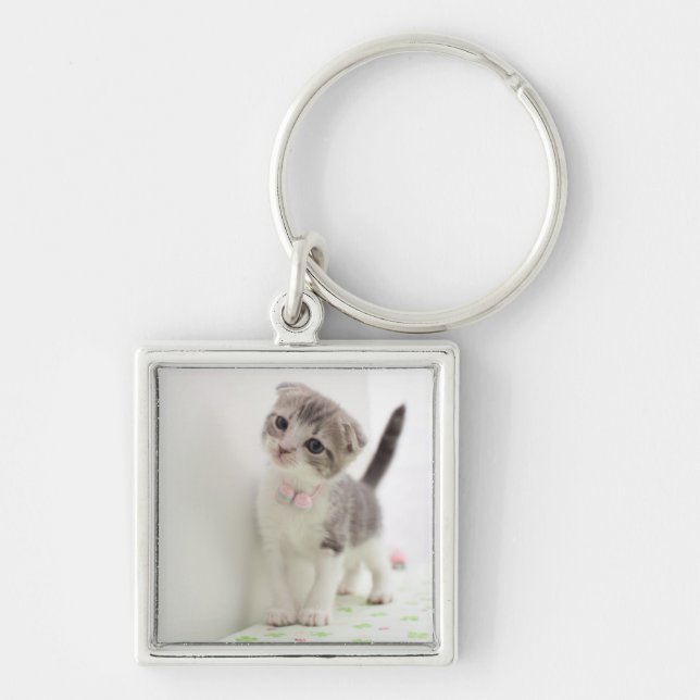 Scottish Fold Kitten Key Ring (Front)