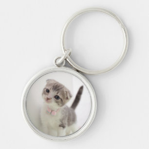 Scottish Fold Kitten Key Ring