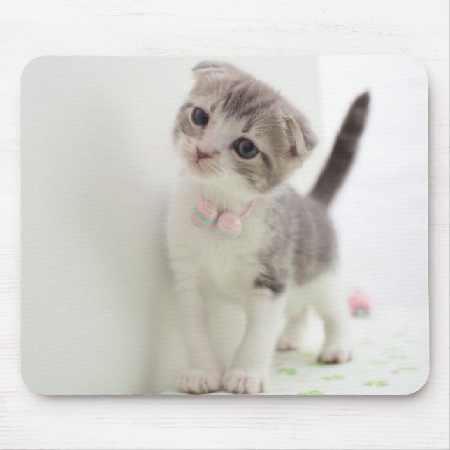Scottish Fold Kitten Mouse Mat (Front)