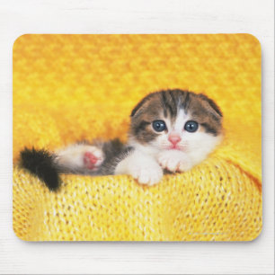 Scottish Fold Mouse Mat