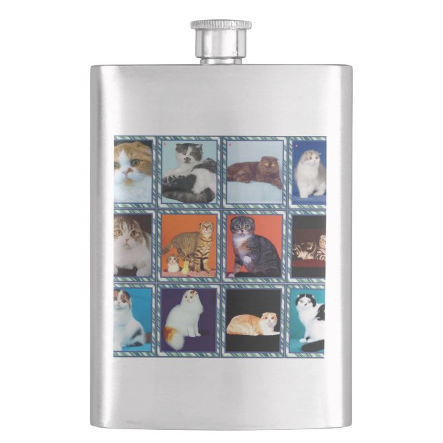 scottish fold mural hip flask (Front)
