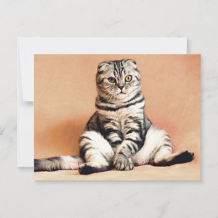 Scottish Folded Cat Sitting on a Sofa Postcrossing Postcard