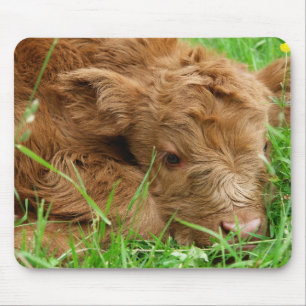 Scottish Highland calf Mouse Mat