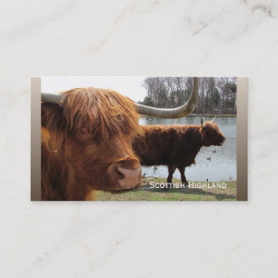 Scottish Highland cattle ~ biz card