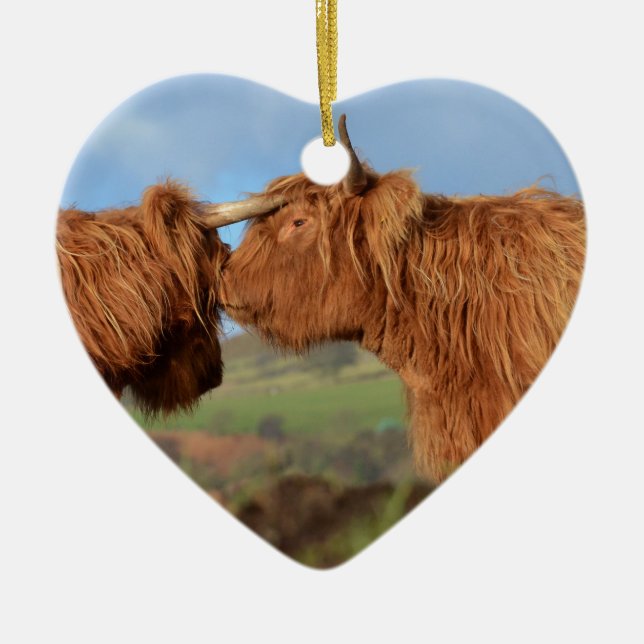Scottish Highland Cattle Ceramic Tree Decoration (Front)