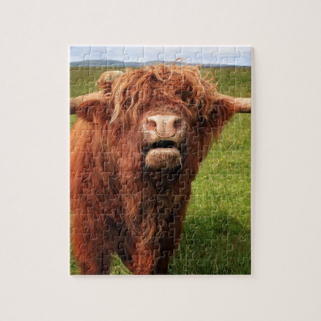 Scottish Highland Cattle - Scotland Jigsaw Puzzle (Vertical)