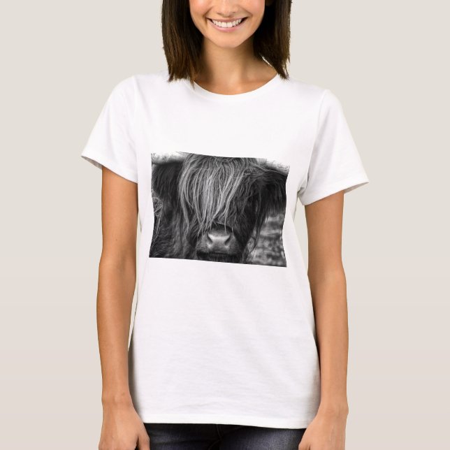 Scottish Highland Cattle - Scotland T-Shirt (Front)