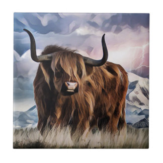 Scottish Highland Cattle Tile