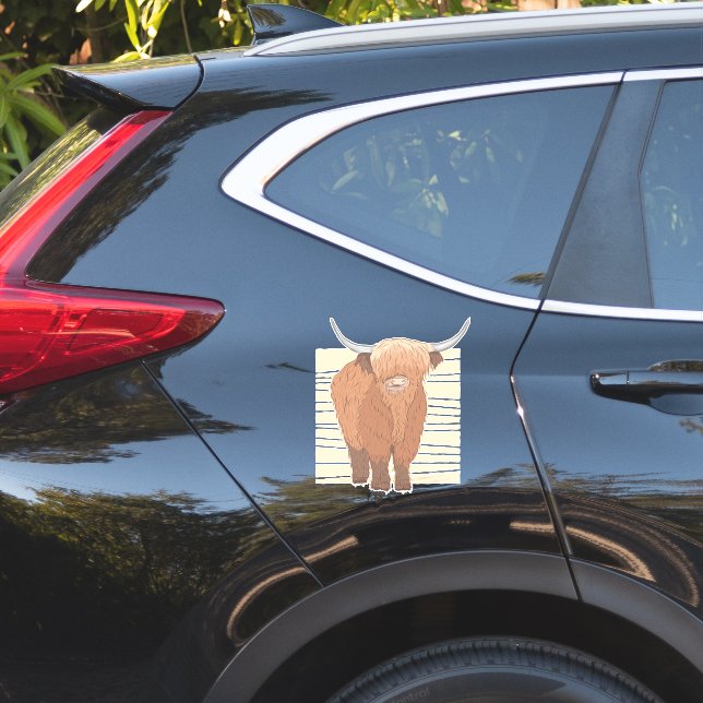 Scottish Highland Cow  (Car Side)