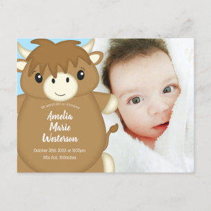 Scottish Highland Cow Baby Shower Blue Postcard