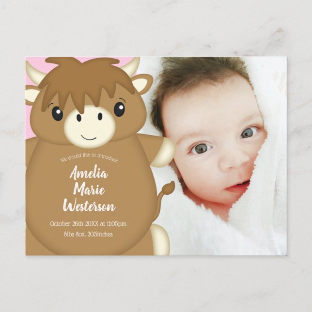 Scottish Highland Cow Baby Shower Pink Postcard (Front)