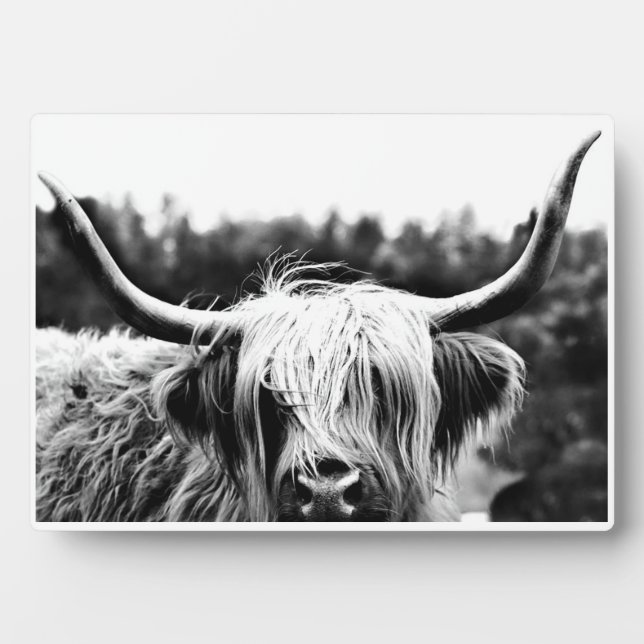 Scottish Highland Cow Black and White Rustic Boho Plaque (Front)