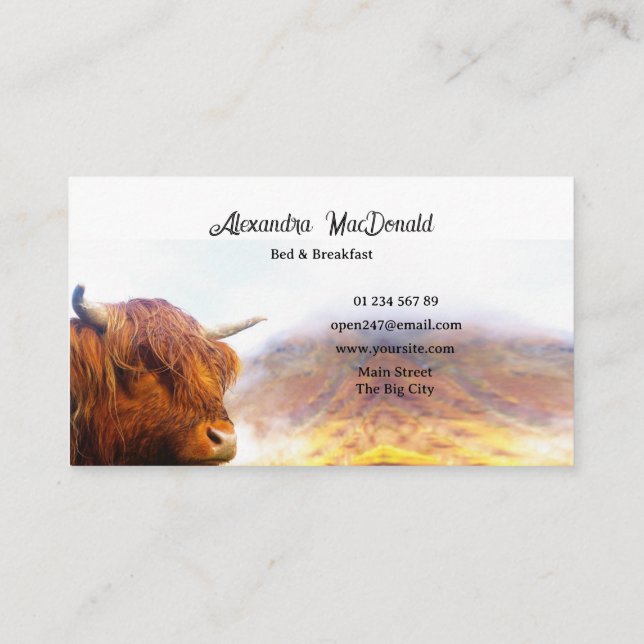 Scottish highland cow business card (Back)