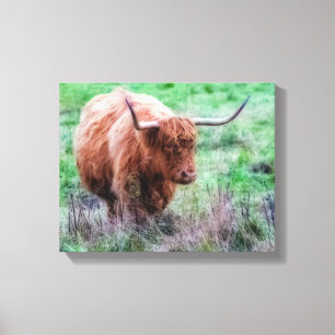 Scottish Highland cow canvas