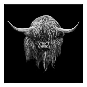 Scottish Highland Cow In Black And White Poster