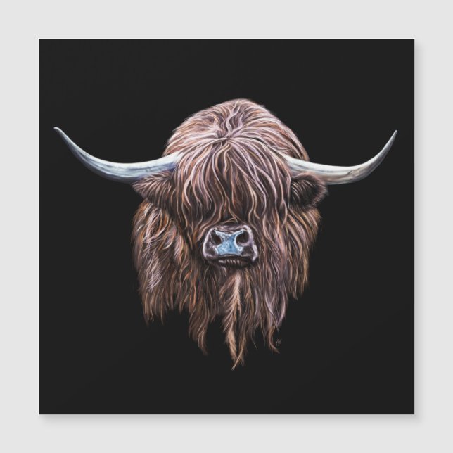 Scottish Highland Cow In Colour (Front)