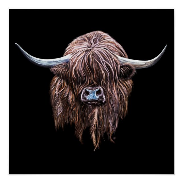 Scottish Highland Cow In Colour Poster (Front)