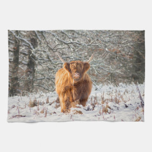 Scottish Highland cow in the snow Tea Towel