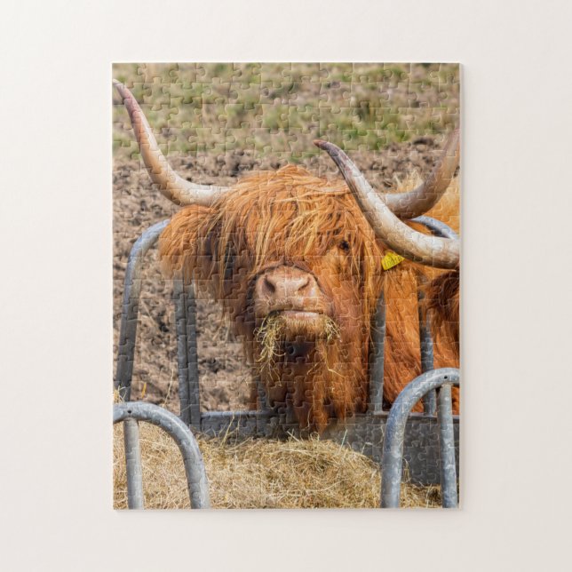 Scottish Highland cow Jigsaw Puzzle (Vertical)