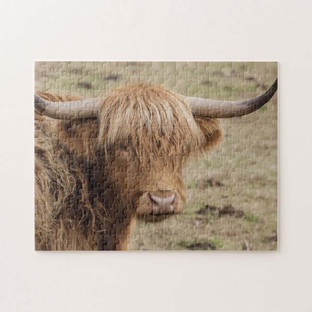 Scottish Highland cow Jigsaw Puzzle (Horizontal)